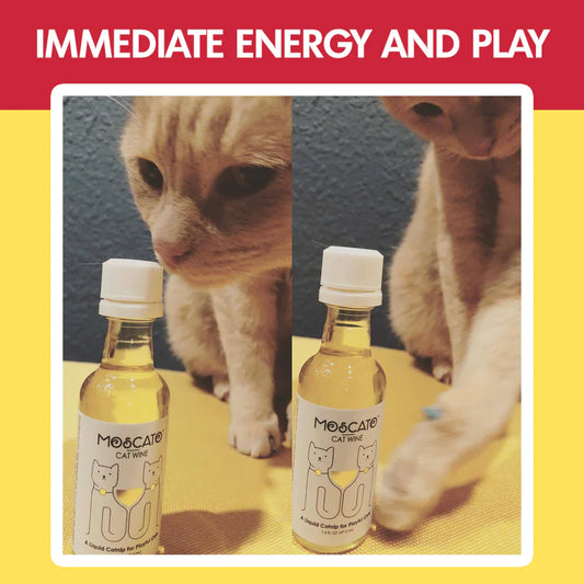 PetWineShop-Vino para gatos Meowscato